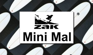 Zak Mini Mal Feature Image Collage 948 x 567